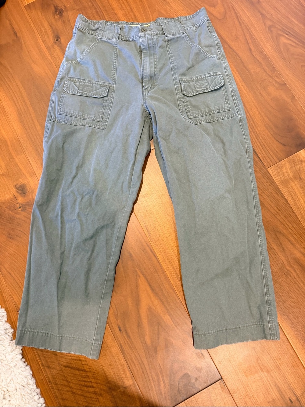 Cabela's Men's Cargo Pants in Olive